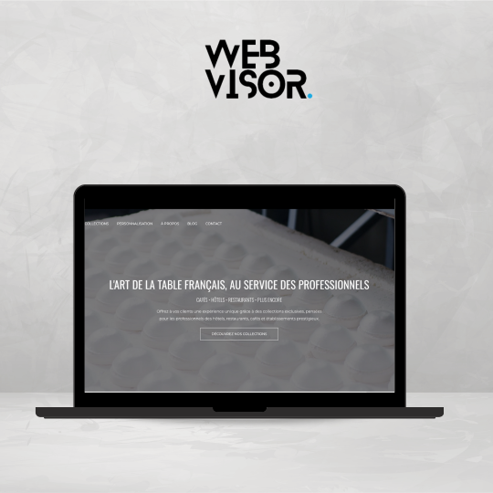 Copy of webvisor-portfolio6